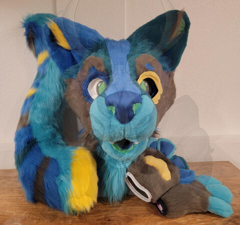 Old Example of an African Civet Premade, Front View