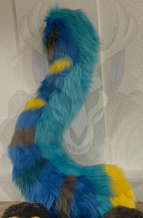 Old Example of a Large Tail