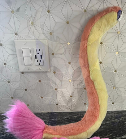 Old Example of a Small Tail